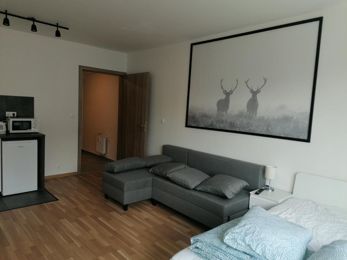 Brand New Studio Apartment #21 With Free Secure Parking In The Center Praha Bagian luar foto